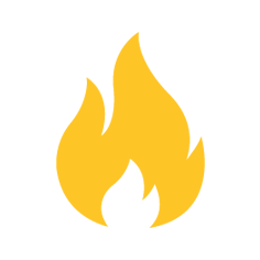 Wellington Blaze Logo